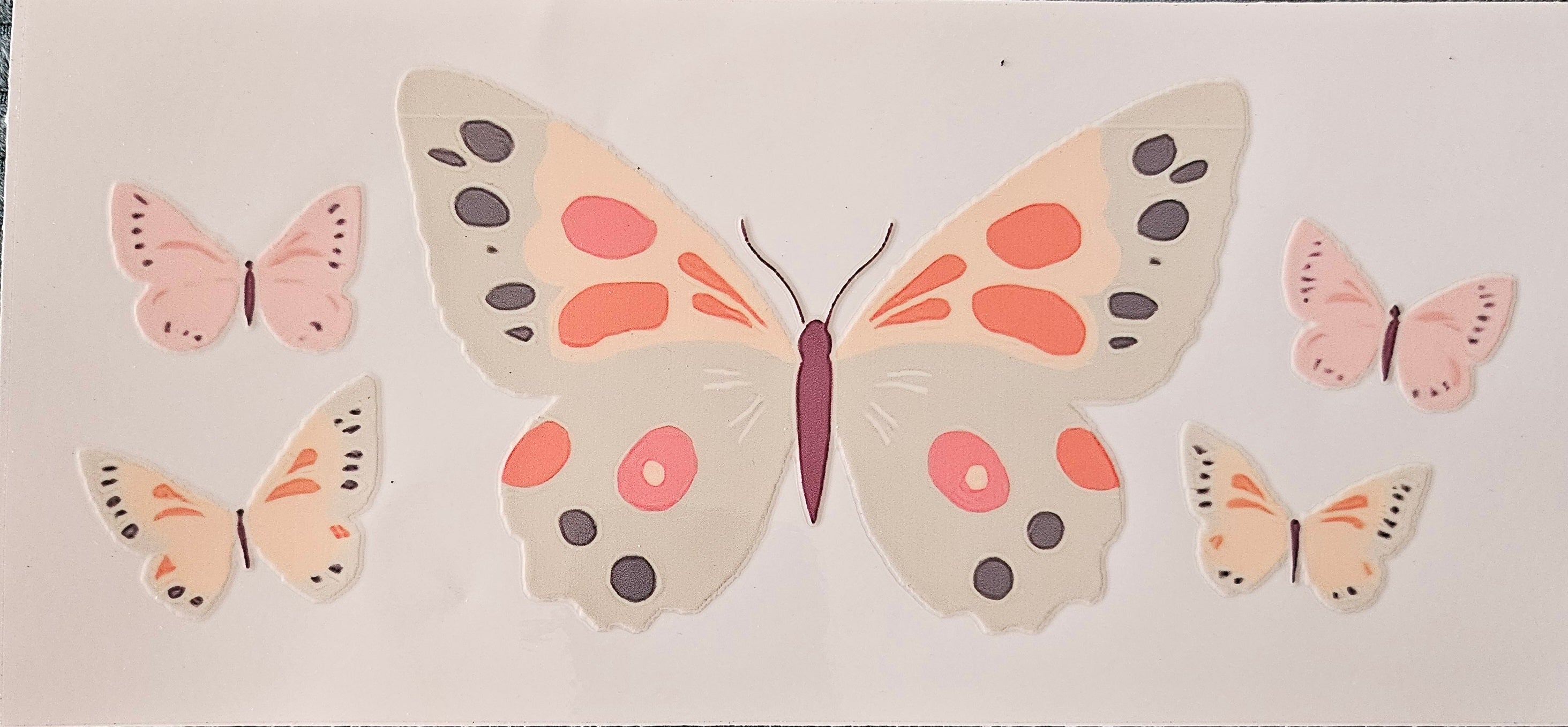 Papillon