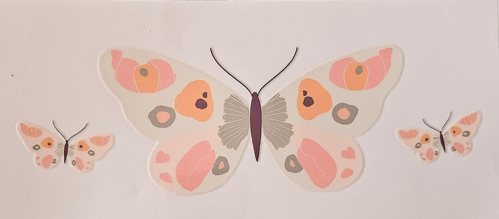 Papillon