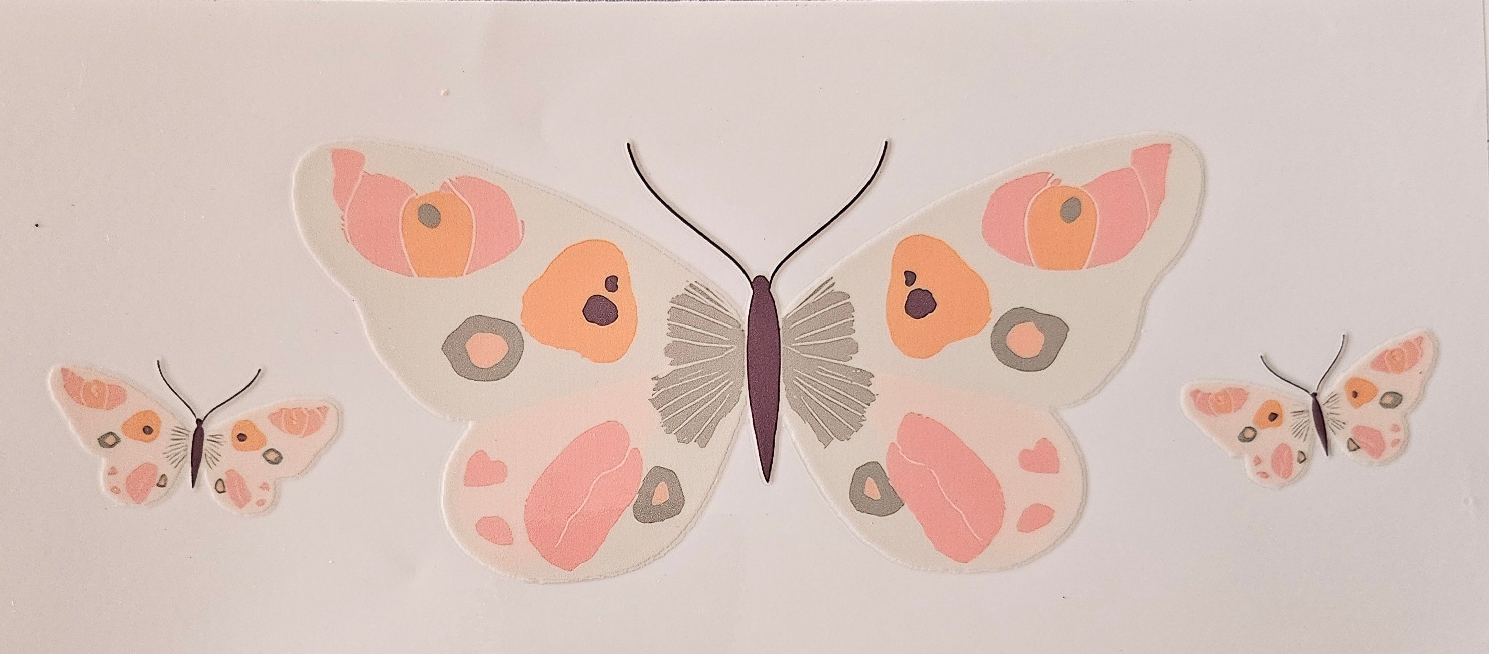 Papillon