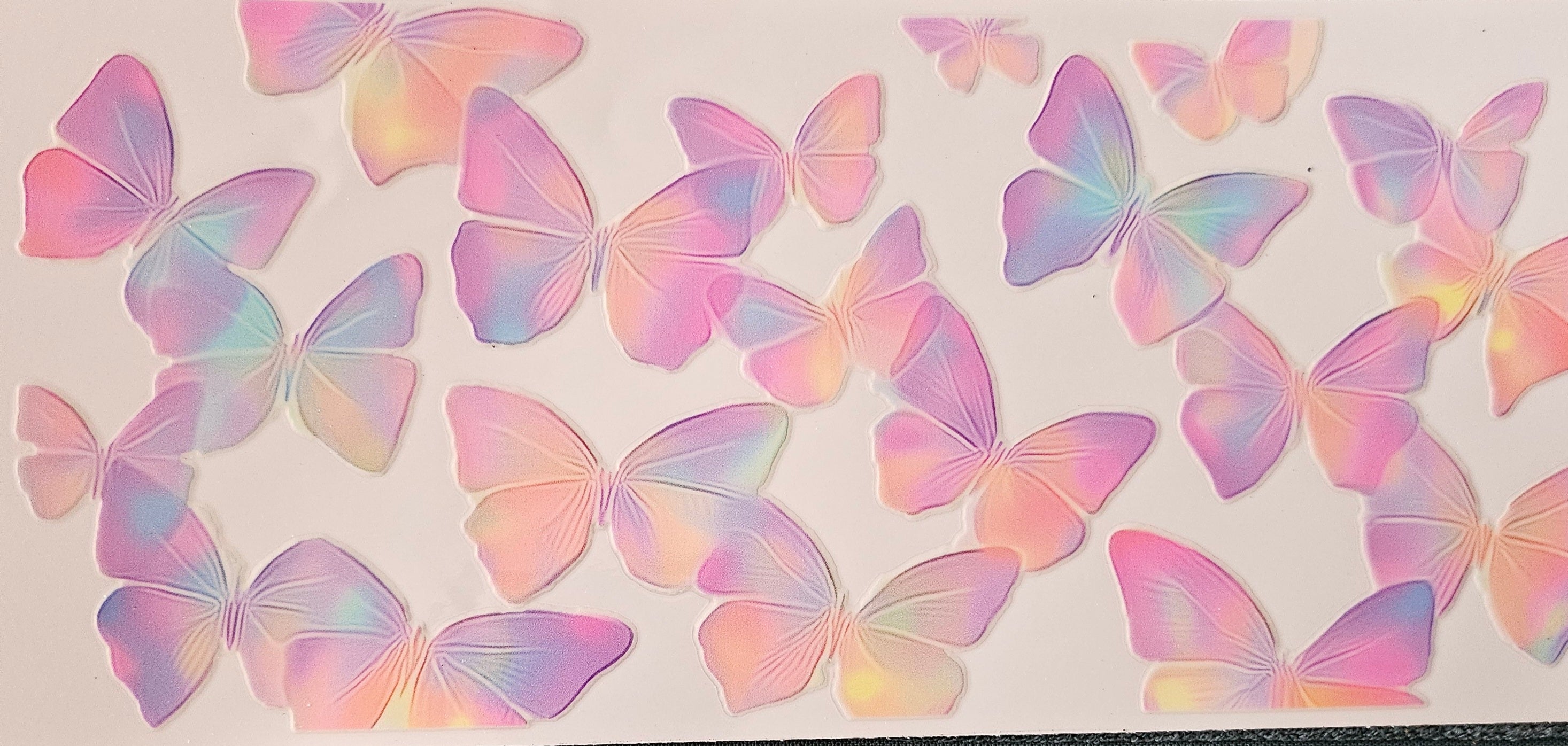 Papillon