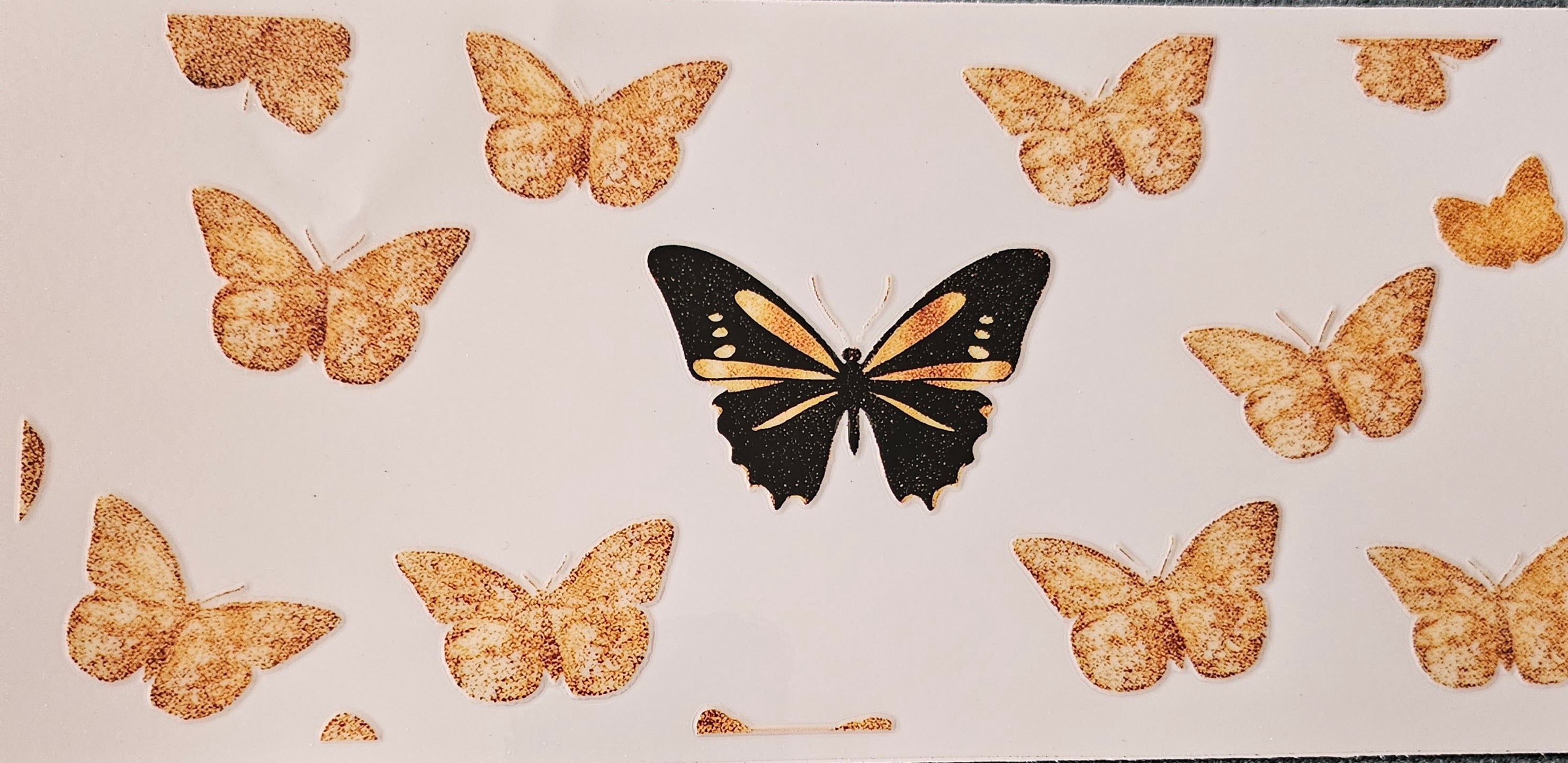 Papillon