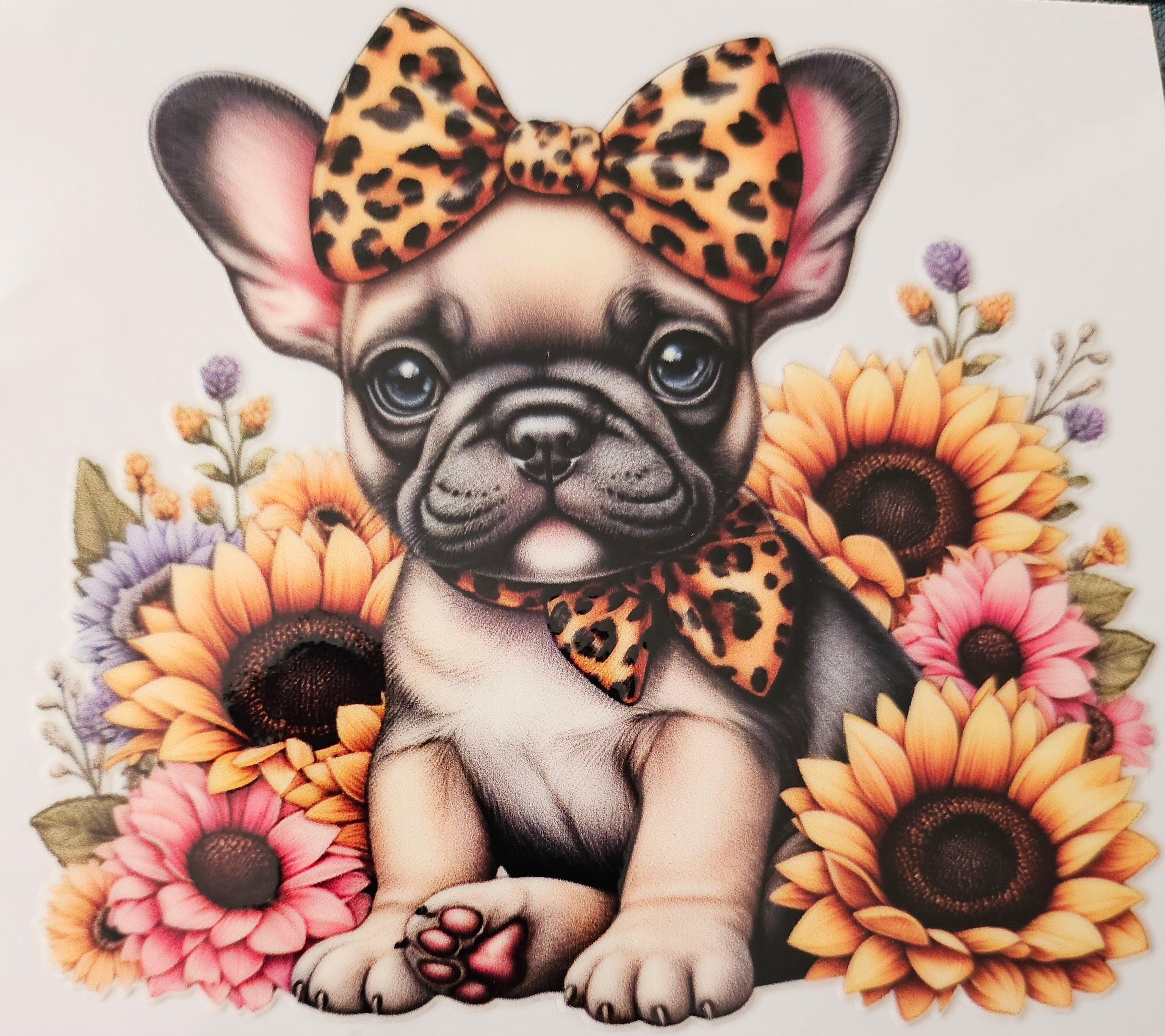 chiens taille M