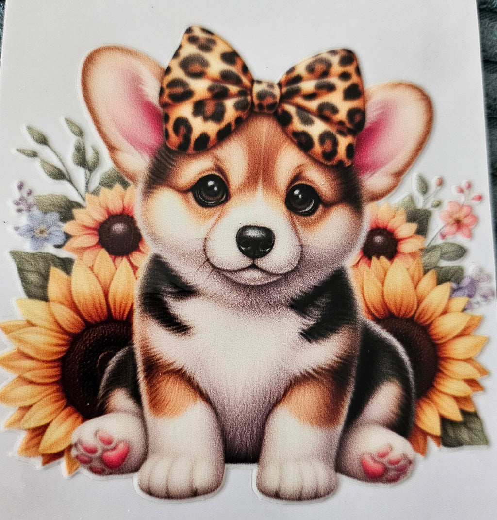 chiens taille M