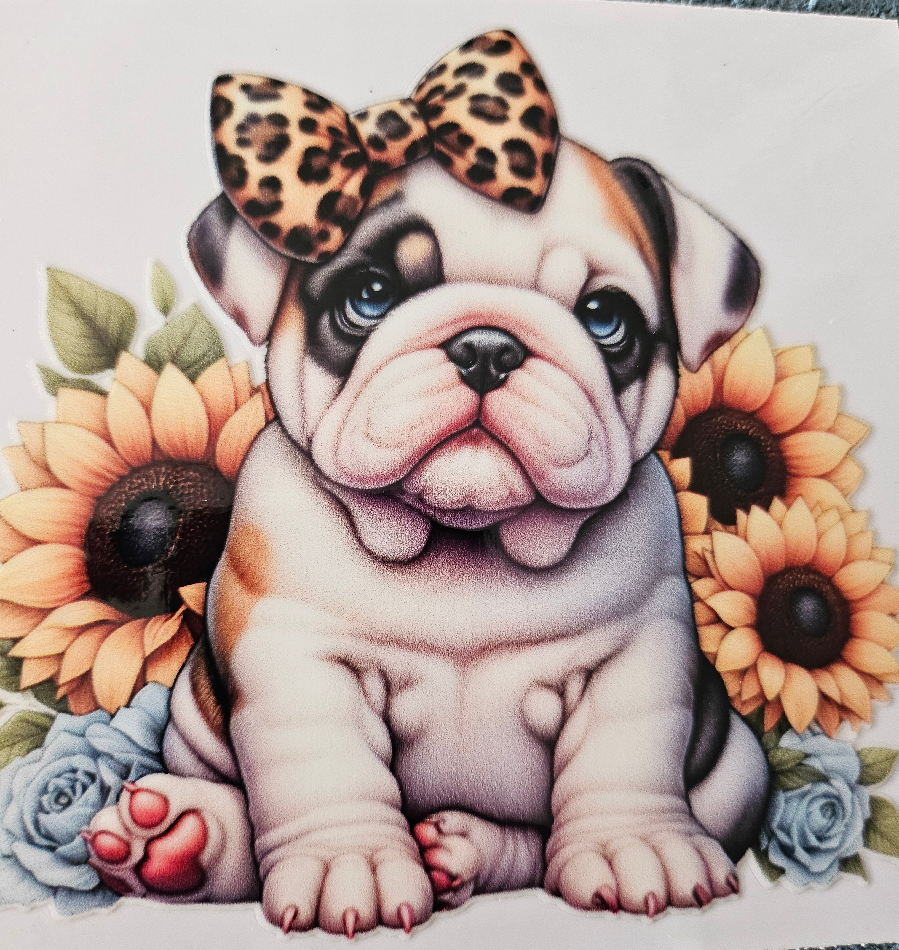 Chien