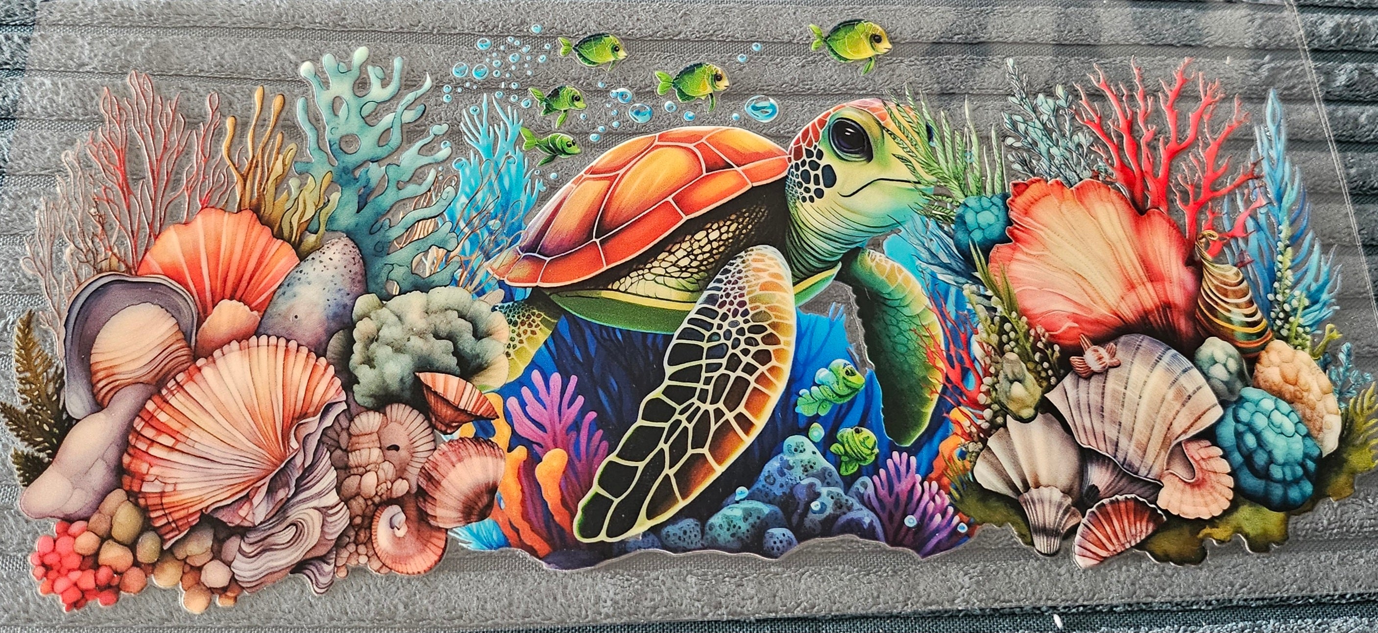 tortue