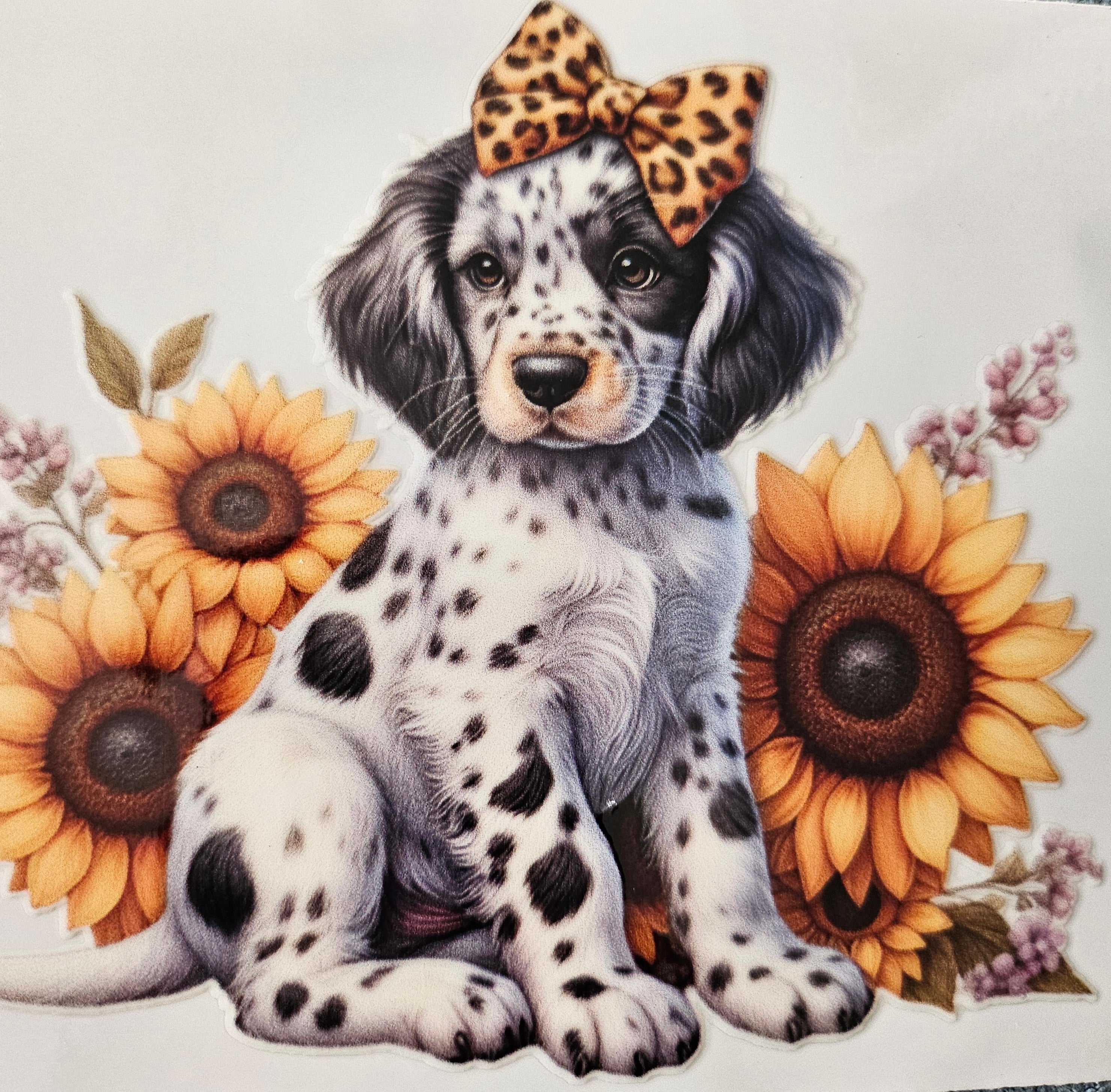Chien