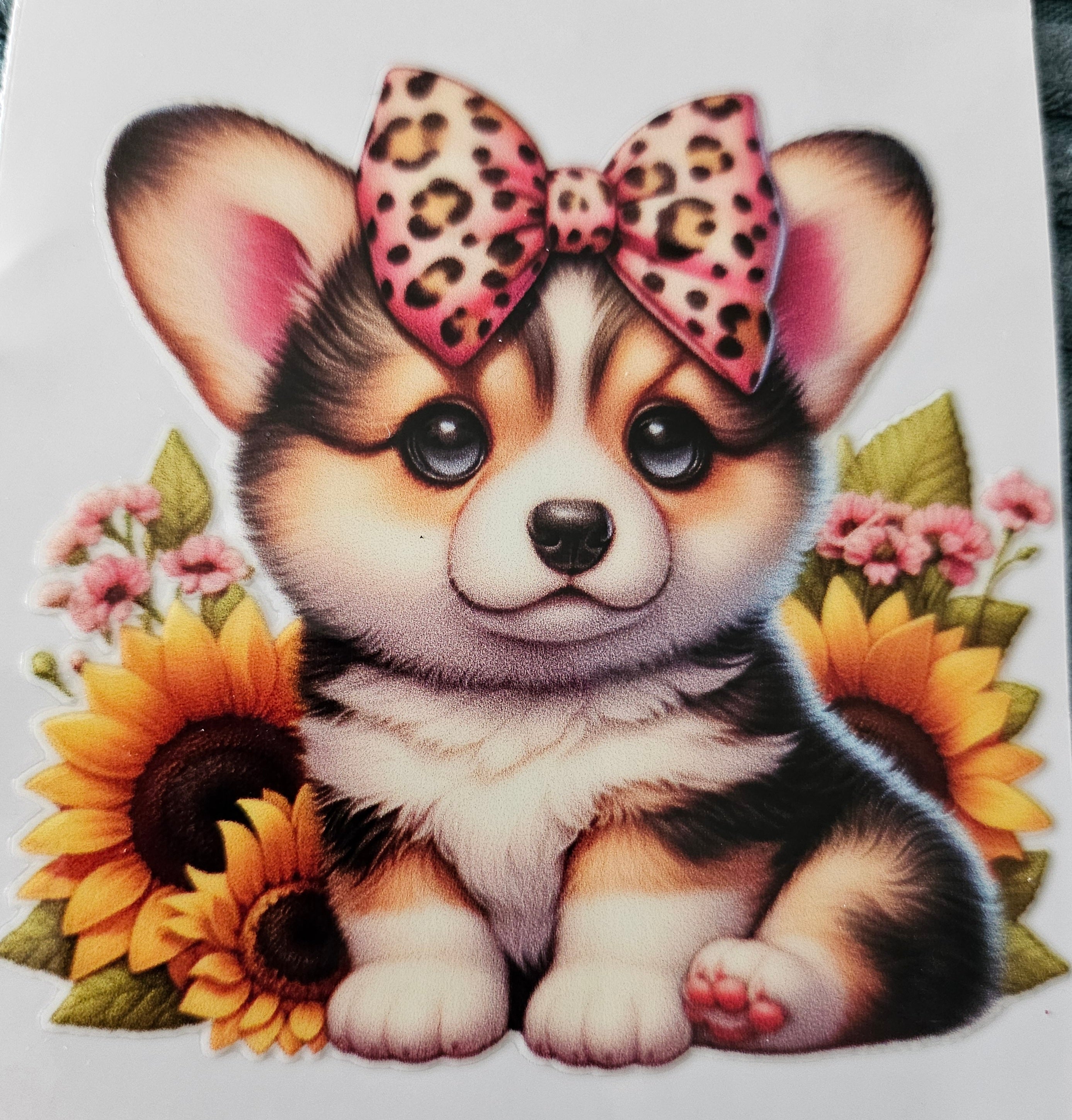 Chien