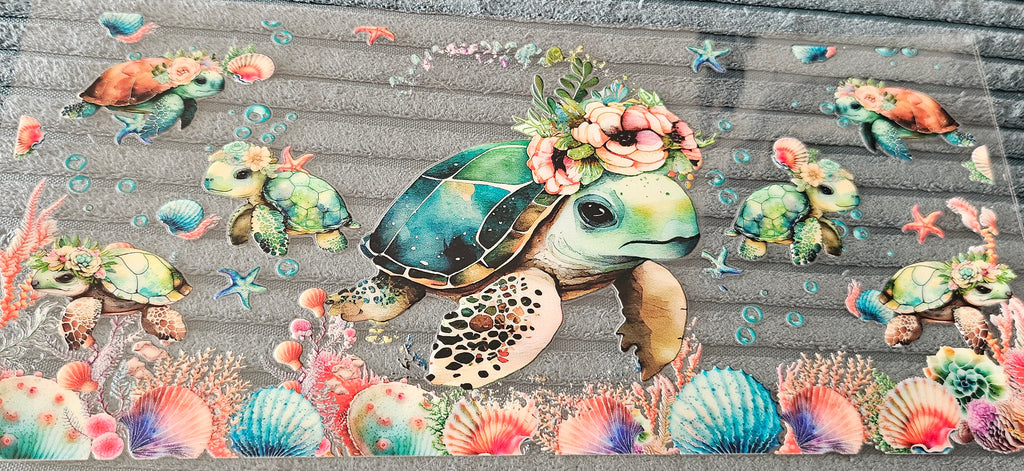 tortue