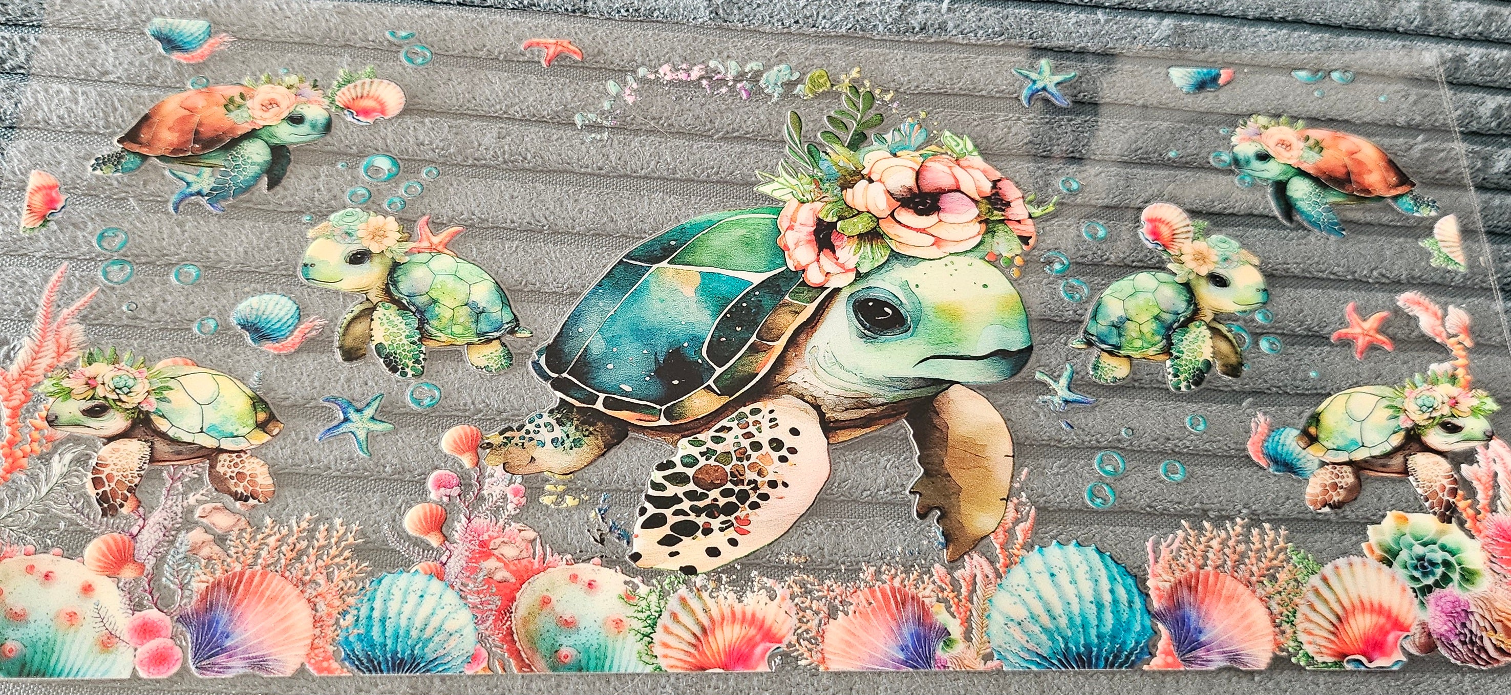 tortue