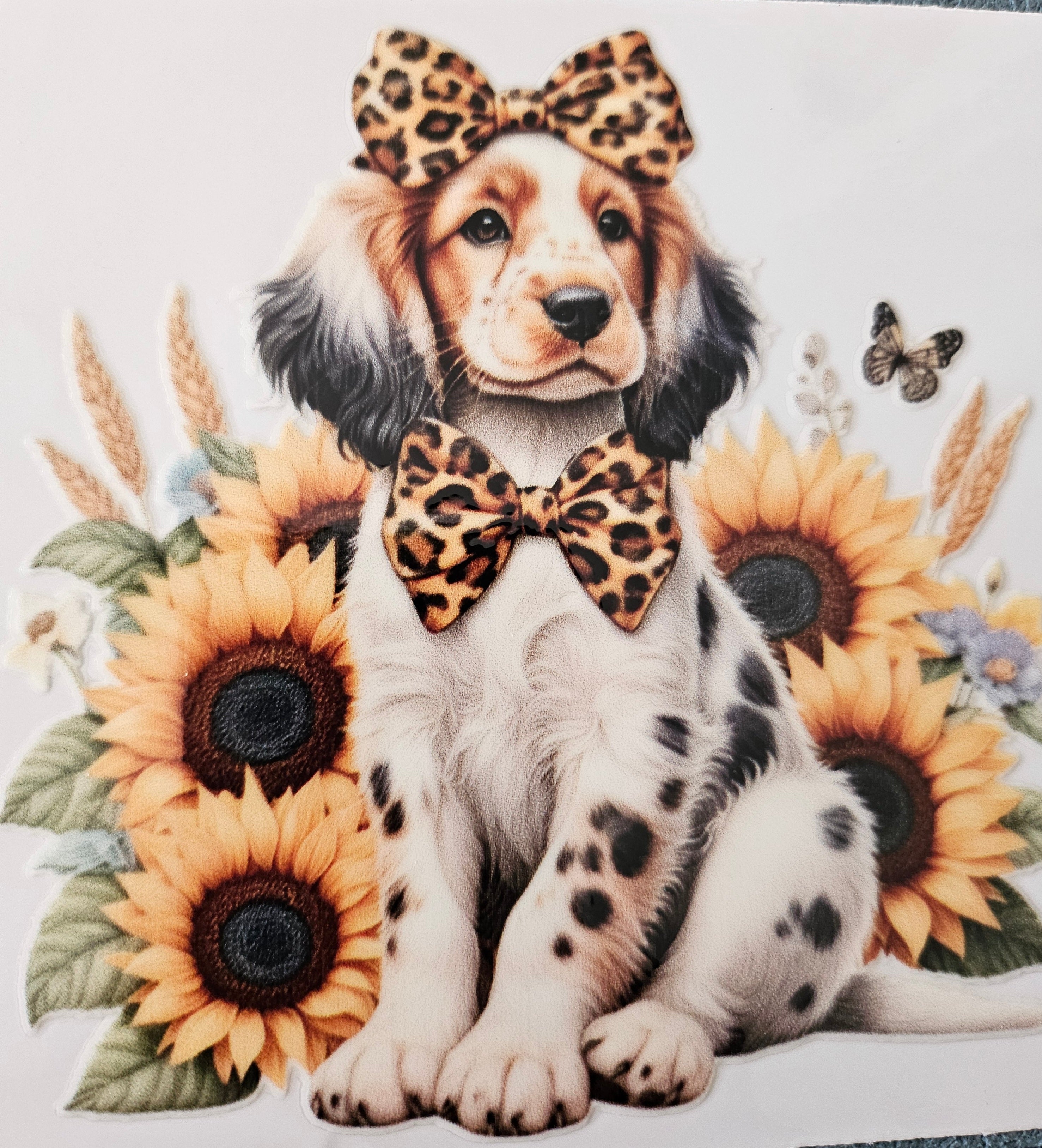 chiens taille M