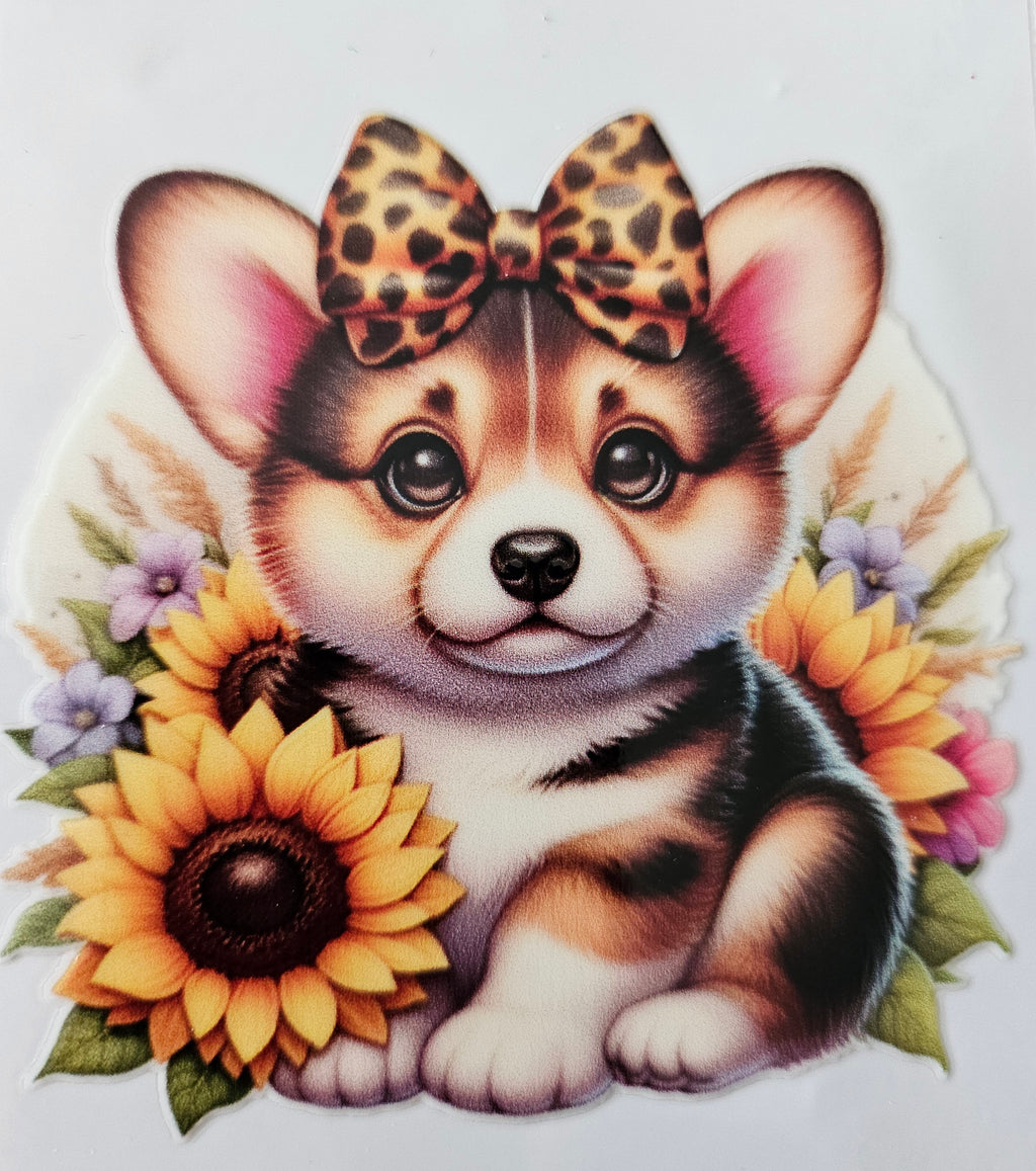 chiens taille M