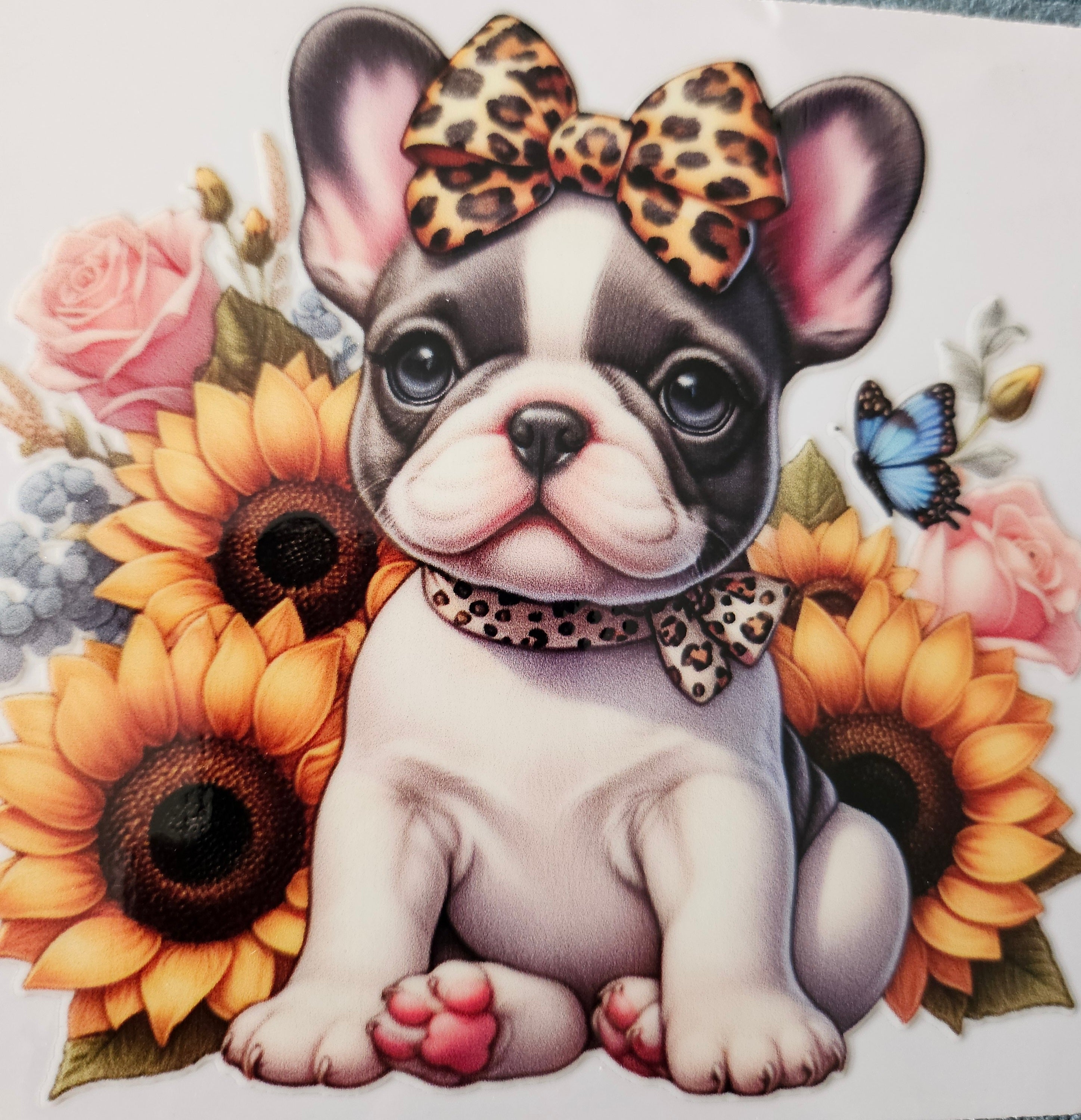 chiens taille M