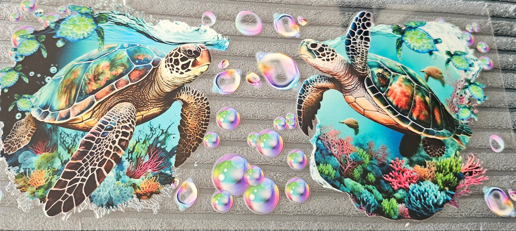 tortue