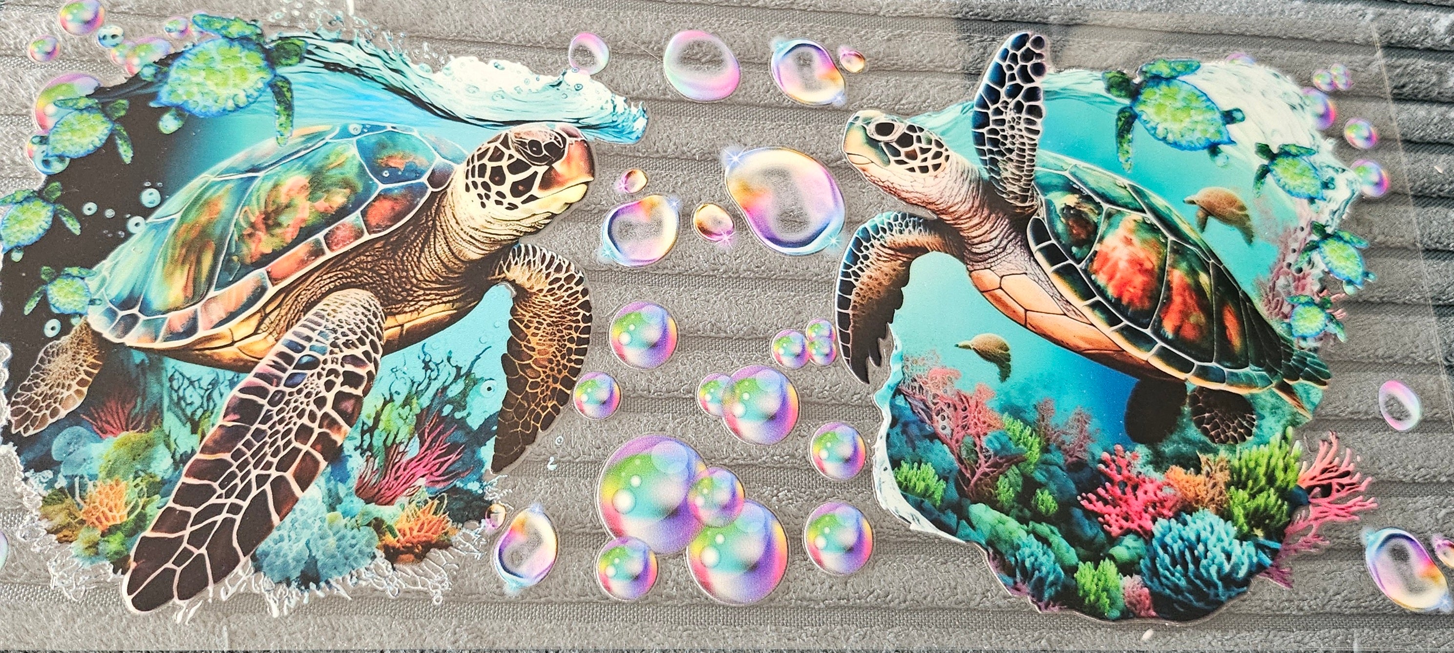 tortue