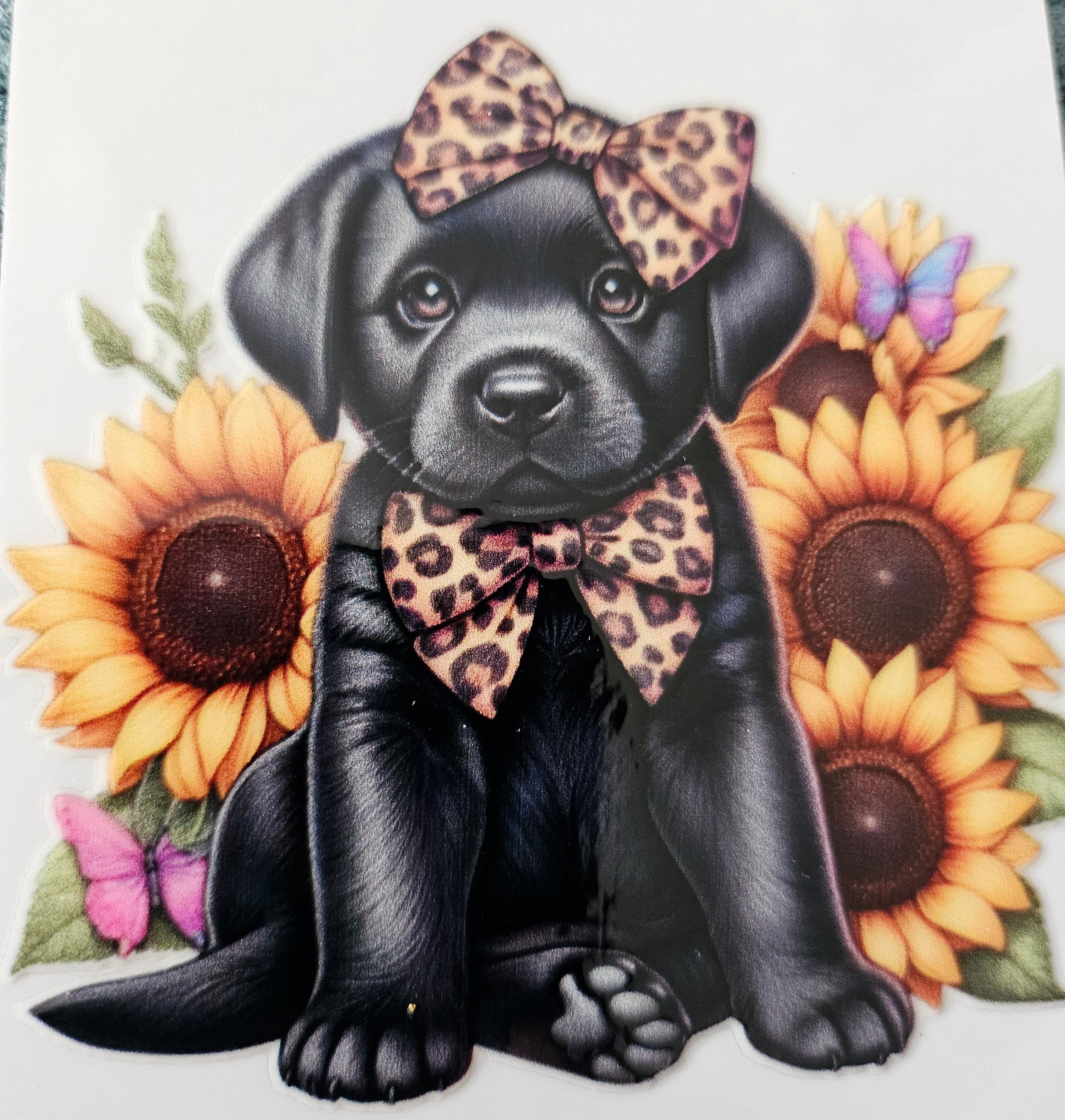 Chien